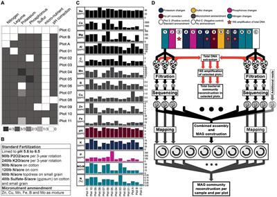 Influence of soil nutrients on the presence and distribution of CPR bacteria in a long-term crop rotation experiment
